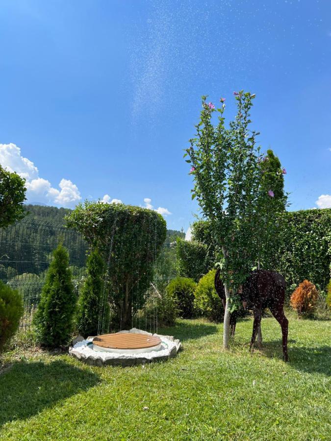 Katarino Spa Chalet Razlog Extérieur photo